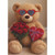 Stuffed Teddy Bear Wearing Sunglasses and Holding Chocolate and Roses Funny Valentine's Day Card