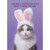 Cat with Rabbit Ears: Saw a Weird Bunny with Candy and Eggs Funny Easter Card: I just saw a weird bunny with a bunch of candy and eggs.