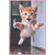 Photo of Kitten Jumping in the Air Z-Fold Mother's Day Card from the Cat