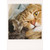 Kitten Snuggling Mom Cat with One Closed Eyed Funny Photo Mother's Day Card