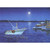 Decorated Yacht Under Full Moon Near Town on Stony Coast Nautical Christmas Card