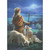 Shepherd Boy Holding Crook While Staring at Bright White Star Religious Christmas Card