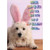 Dog with Bunny Ears Funny Easter Card: Easter may be fun for you, but it's one of my biggest fears…