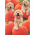 Halloween Card: Trio of Golden Puppies in Pumpkin Patch