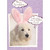 Accident on Carpet Funny Easter Card: This is humiliating - I might just have to have an ACCIDENT on the carpet.