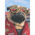 Birthday Card for Man: Dog Wearing Red Racing Jacket and Reflective Sunglasses