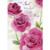 Three Pink Roses: Aunt Valentine's Day Card: For an Aunt who is Loved today and always