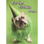Dog with Green Hat Funny Birthday Card for Dog: For the Birthday Dog…