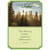 Sunbeam Shining Through Evergreen Trees Religious / Inspirational Father's Day Card for Father: For You, Father - 'Train a child in the way he should go, and when he is old he will not turn from it.' - Proverbs 22:6