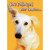 Followed Me Home : White Dog Funny : Humorous Birthday Card for the One I Love: You followed me home…