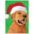 Christmas Retriever Box of 15 Dog Christmas Cards