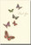 Butterflies Box of 10 Thank You Note Cards: Card Details