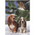 Bassetts & Cat Box of 18 Christmas Cards