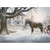 Horse and Carriage Box of 18 Christmas Cards