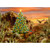 Desert Glow Western Christmas Card