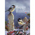 Sunny Chickadees in Winter Bird Christmas Card: Happy Holidays