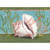 Conch Shell and Reeds: Paul Brent Warm Weather / Tropical Christmas Card: Merry Christmas