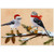 Two Birds in Winter Boots, Scarf & Hat Christmas Card