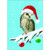 Owl Box of 15 Christmas Cards