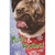 Doug the Pug: Pugs and Kisses Funny / Humorous Dog Box of 12 Christmas Cards: Pugs & Kisses! Doug the Pug
