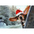 Bassett Hound Looking Out Car Window Cute Dog Christmas Card