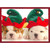 Two Puppies Lying on Floor Wearing Festive Hats Cute Box of 12 Christmas Cards