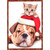 Wrinkled Dog in Santa Hat with Kitten on Top Cute Box of 12 Christmas Cards