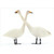 Two Geese : Overlapping Necks Christmas Card