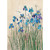 Blue Iris Border and Dragonfly Blank Note Card