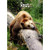 Grizzly Sleeping on Tree Trunk Funny Get Well Card: Rest…