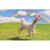 Alpaca Unicorn Funny Chihuahua Mini Blank Gift Enclosure Card