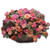 Floral Basket Die Cut Blank Note Card