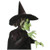 Wizard of Oz Wicked Witch: I'll Get You My Pretty Die Cut Blank Note Card