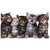 Line Up of Five Cute Kittens Big Funny Oversized Die Cut Birthday Card for Relative
