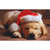 Puppy With Hat Christmas Mini Gift Card Holder