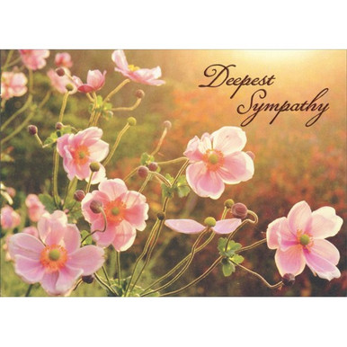 Japanese Wildflower Pink Anem Premium Sympathy Card | PaperCards.com