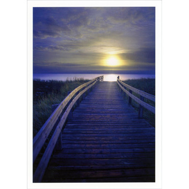 cd18771-wooden-path-to-water-