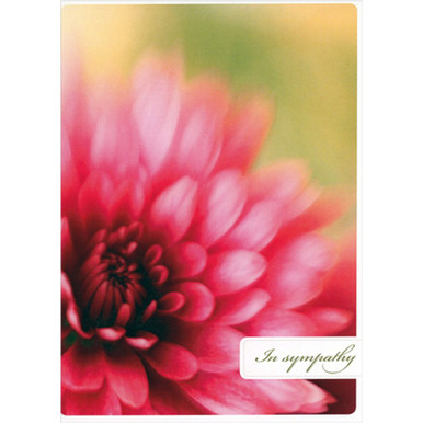 Large Pink Flower Closeup : Comfort and Peace Sympathy Card