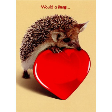 Hedgehog with Heart Funny Valentine's Day Card PaperCards