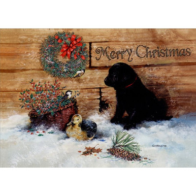 Chocolate Mint" Chocolate Lab - Boxed Christmas Cards - 5 5/8 X 7 3/8 Inches - 15 Heavyweight Cards And 16 Envelopes