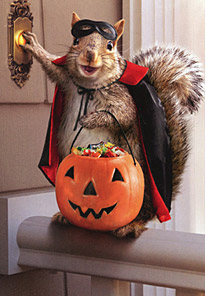 Shop Halloween Cards