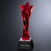 Red Twisted Star Ruby Award