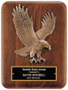 Eagle Landing Plaque