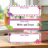 Dinosaur Friends large rectangle write-on labels — reusable waterproof