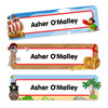 Pirates Oversize Rectangle Labels