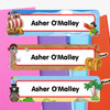 Pirates extra large waterproof name labels — name stickers for water bottles and school gear