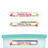 Fairies slim name stickers — waterproof stickers for water bottles and small containers