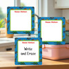 Dino Fossils large square write-on labels — reusable waterproof daycare