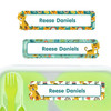 Name Labels For Kids School