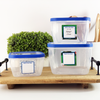 Large square write-on labels on food storage containers